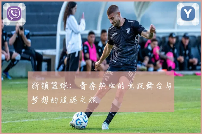 新镇篮球：青春热血的竞技舞台与梦想的追逐之旅