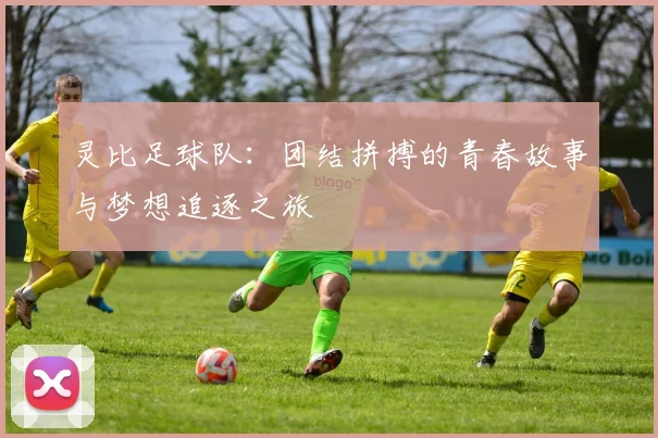 灵比足球队：团结拼搏的青春故事与梦想追逐之旅