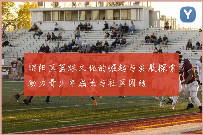 昭阳区篮球文化的崛起与发展探索助力青少年成长与社区团结