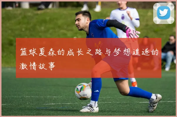 篮球夏森的成长之路与梦想追逐的激情故事