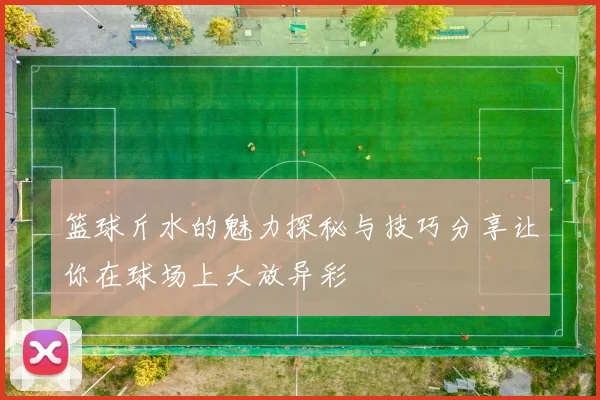 篮球斤水的魅力探秘与技巧分享让你在球场上大放异彩