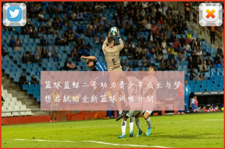 篮球蓝鲸二号助力青少年成长与梦想启航的全新篮球训练计划