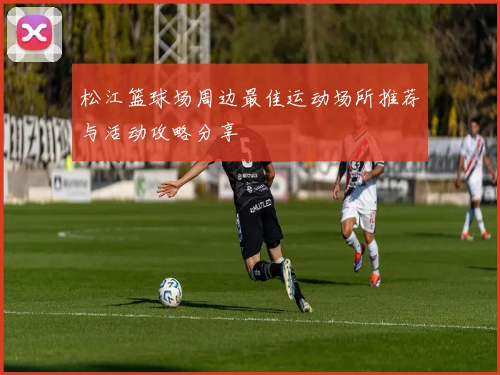 松江篮球场周边最佳运动场所推荐与活动攻略分享