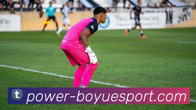 博鱼官网APP 封面图